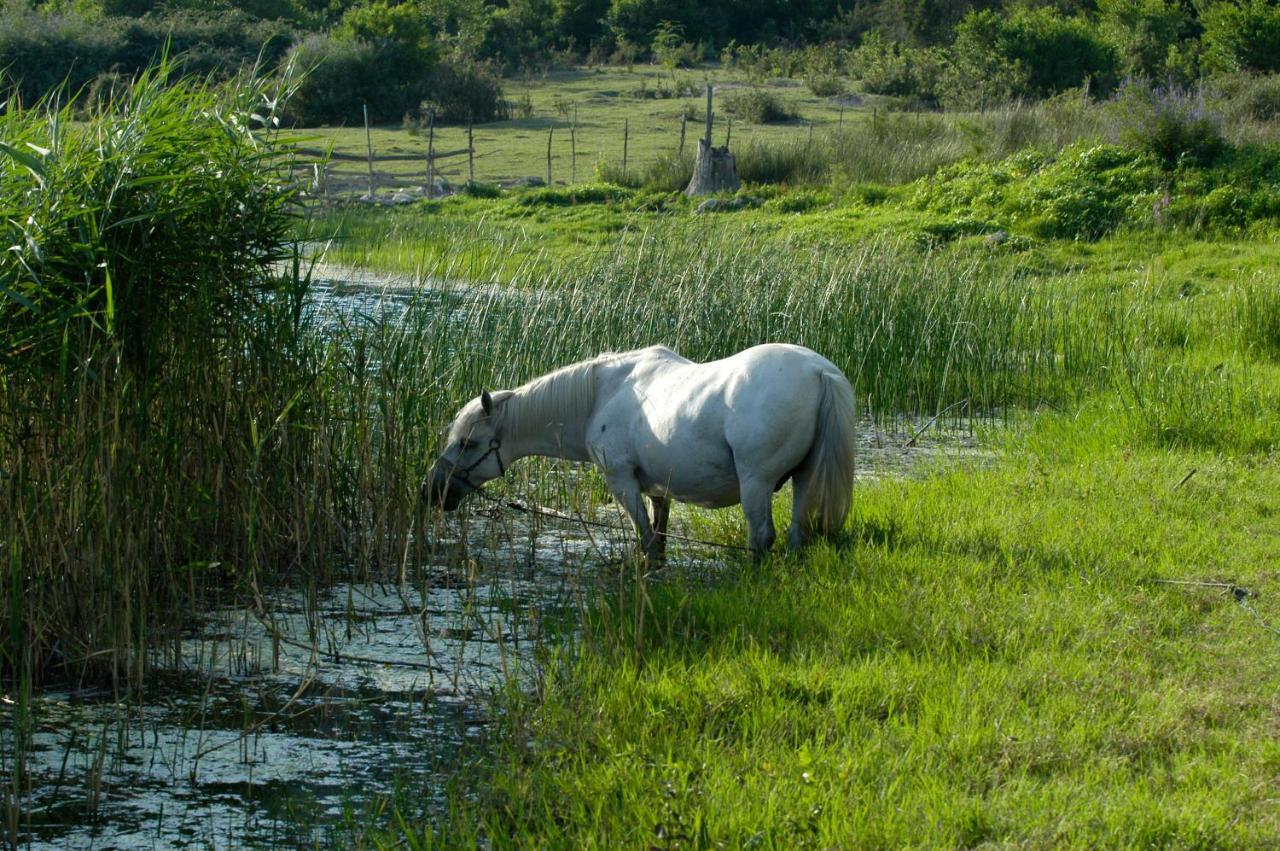 Villa Šolo Ploce  Esterno foto